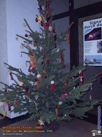 Weihnachtsbaum